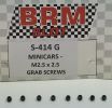 BRM 1/24, M2.5 x 2.5mm, Schrauben ( Kardangelenk), 8 Stk.